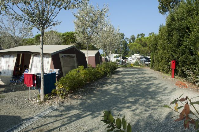 New Camping Le Tamerici (LI) Toscana